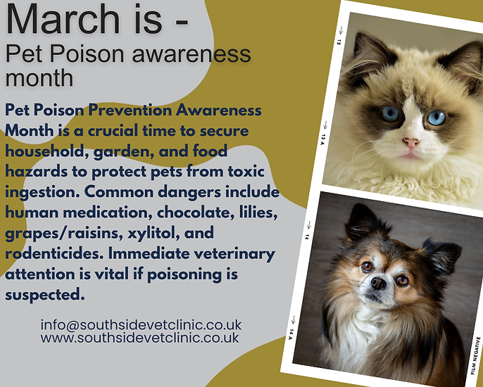 march is - pet poison awareness month.png
