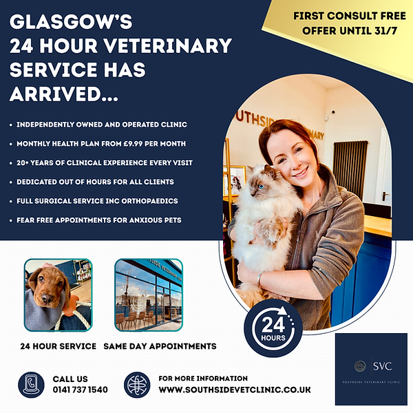 www.southsidevetclinic.co.uk.png.png