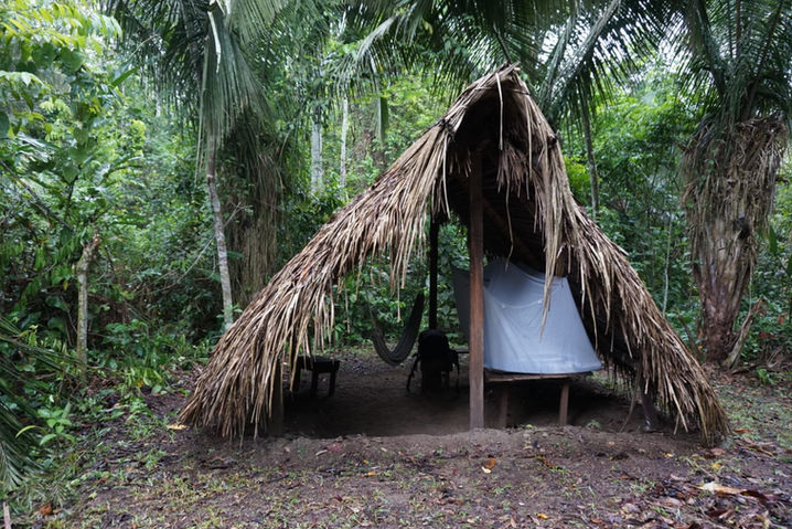 Tambo Heilpflanzenkur