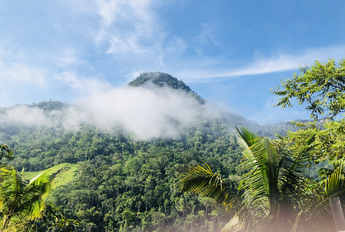 Ayahuasca Retreat Peru