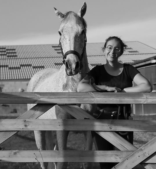 cheval, naturopathie, biorésoance, o'toupet
