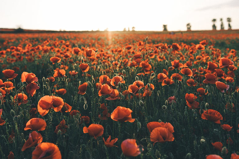 pexels-photo-4620586.jpeg