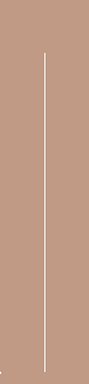 55.png