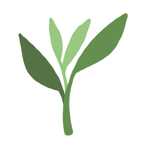 plant animation