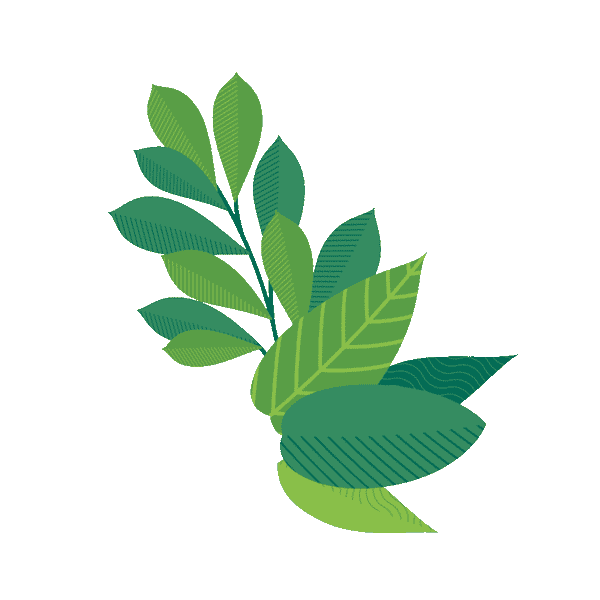 plant animation