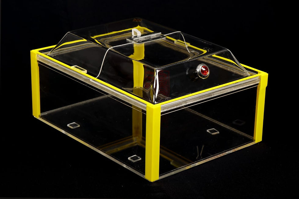 Bakery Decor Showcase