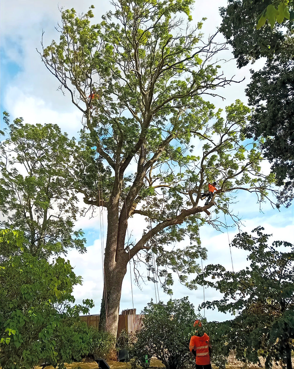 WhatsApp Image 2025-08-25 at 16.46_edited.jpg