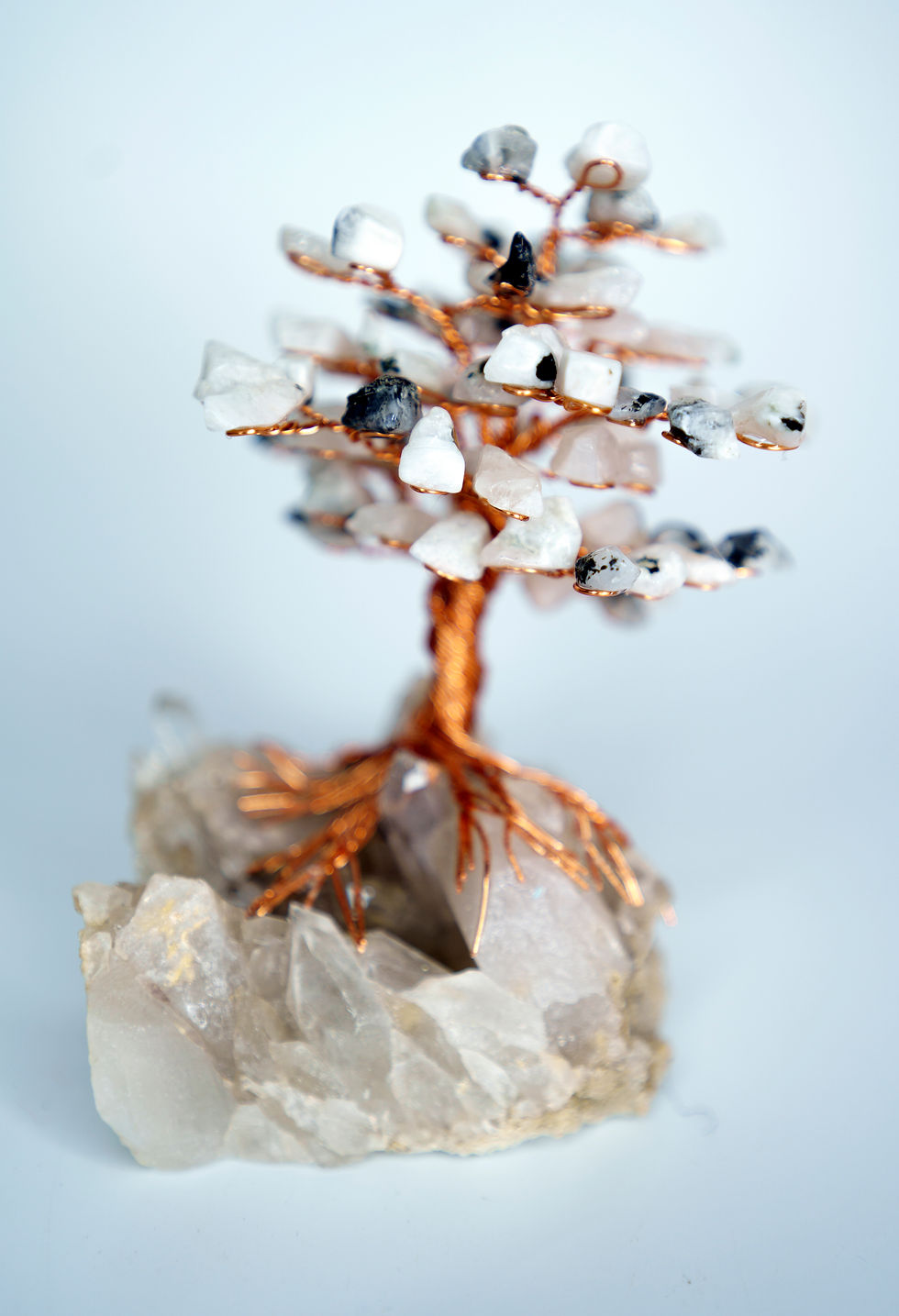 Thumbnail: Rainbow Moonstone Astra Tree