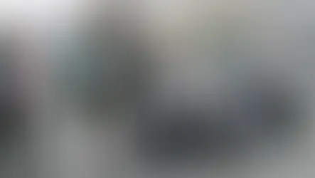 COP29-da balina ovu və dənizin dərinliklərindən faydalı qazıntıların hasilatına qarşı etiraz diqqəti cəlb etdi, lakin qrupun təşkili ilə bağlı suallar qalmaqdadır