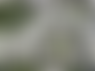 MIDA Affordable Housing Sold Out in Minutes, Illegal Resales Lead to Arrests