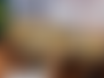 Sammit Planeti Xilas Edə Bilmədimi?