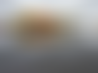 A DHL freight plane at a hub near Leipzig, Germany. (Jens Meyer/AP)