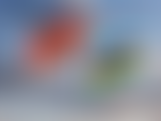 Montenegro to Reinstate Visas for Azerbaijani Citizens