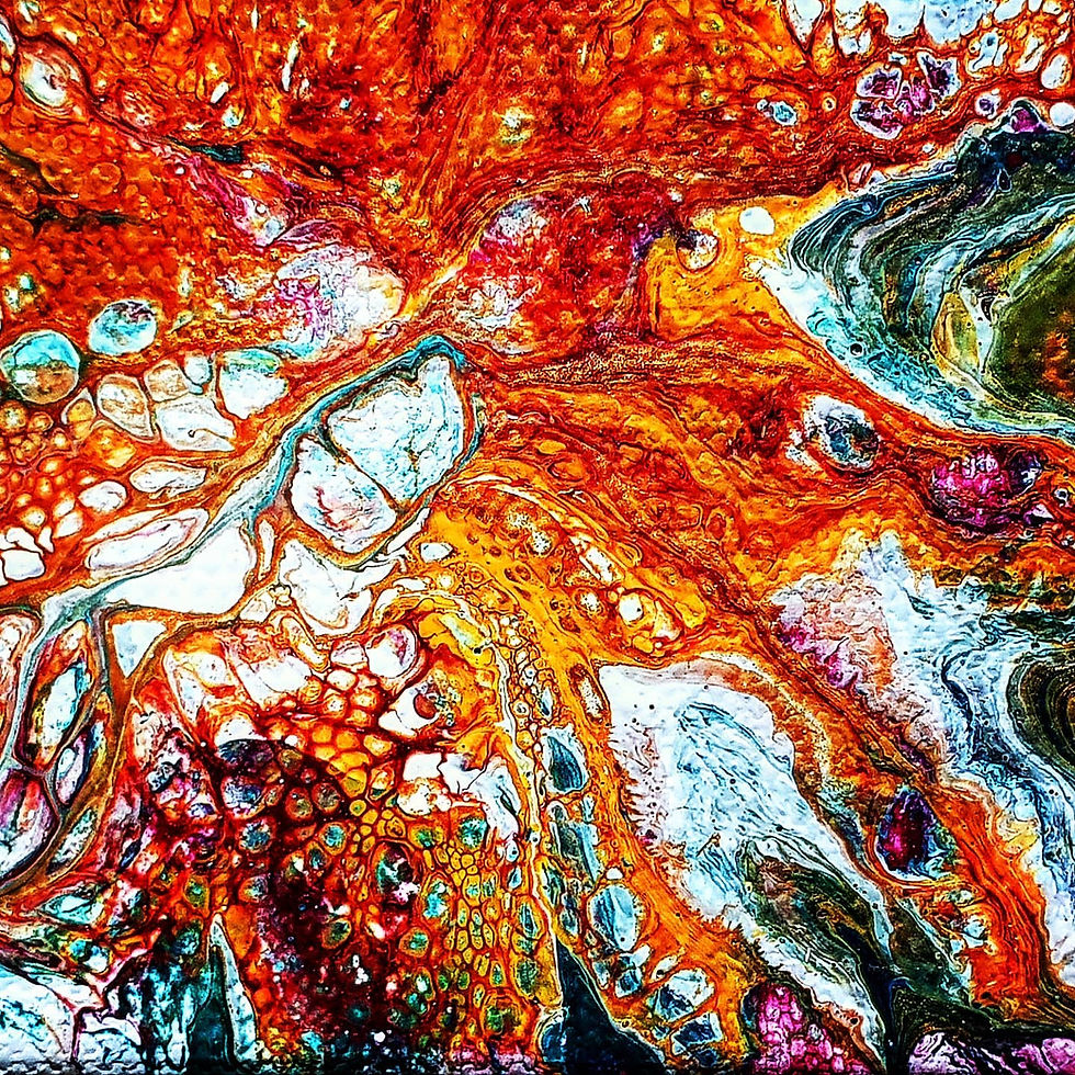 Miniature : Etoile de mer !   - 10 x 10 x 4,5 cm