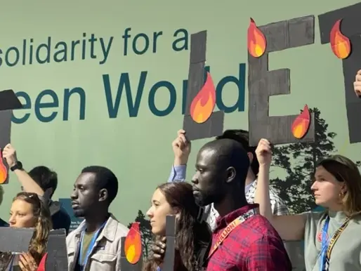 Eco-activists urged COP29 to take effective measures to protect nature