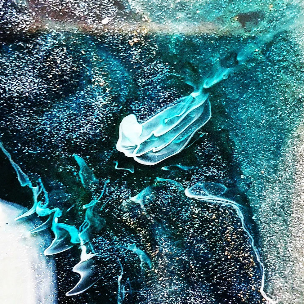 Thumbnail: Snow session n° 1!