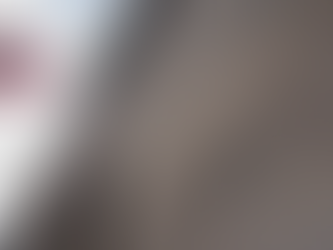 Neo-Nazi Leader Admits to Planning Attack on Jewish Children in NYC