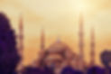 sultan-ahmed-mosque-or-blue-mosque.jpg