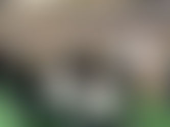 業界説明で語るようす