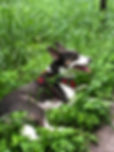 Joleene at park 2.jpg