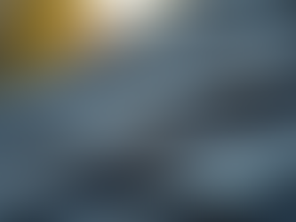 Estimating the Cost of Leaky Roof Repairs - Roof Repair Cost Analysis