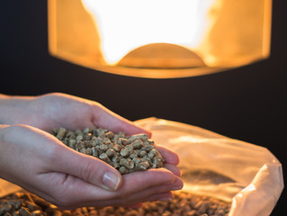 Encouraging the use of cleaner fuels - how we can assist the transition in 2021
