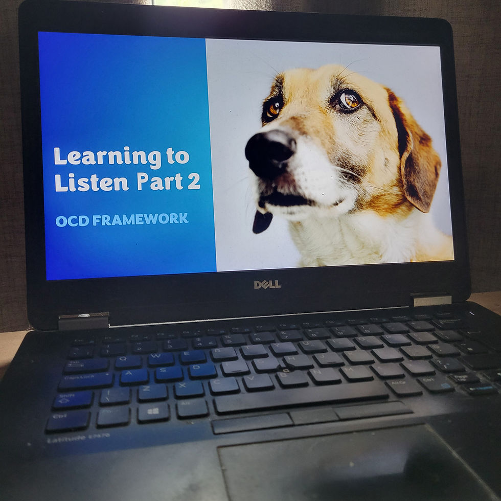 Learning to Listen Part 2