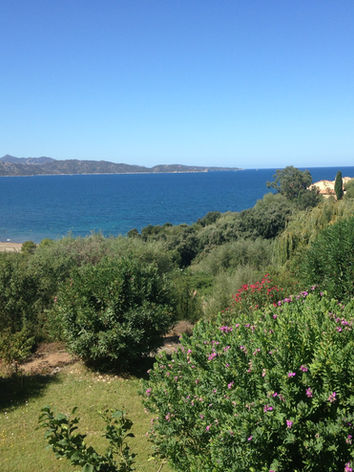 IMG_0453.jpeg