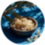 Mastiha.webp