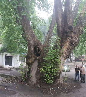 Payas oiş 224 nolu bölme-2025-07-16-10-05-36.jpg
