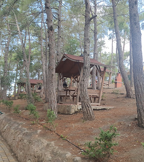 Tabiat Parkı.jpg
