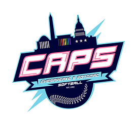 Washington DC Logo
