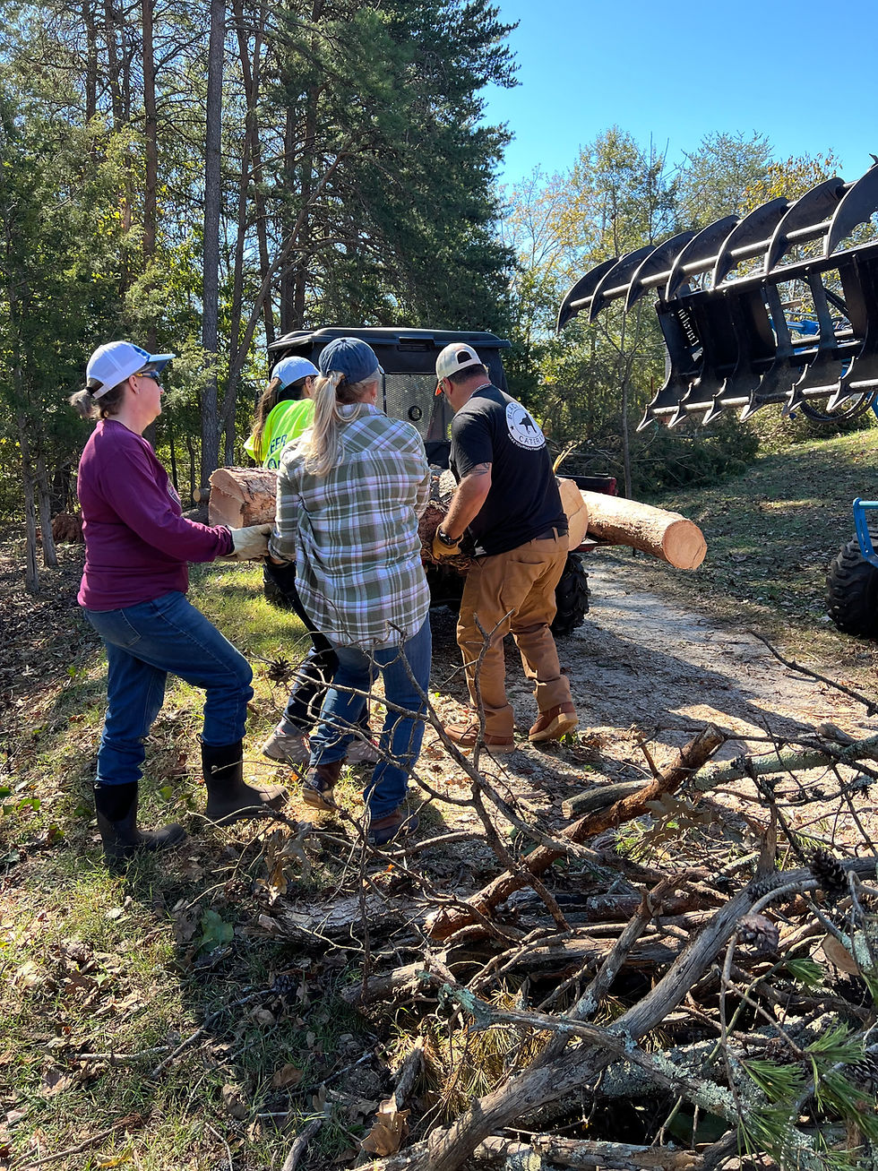 IMG_20250605_001046 (3).jpg