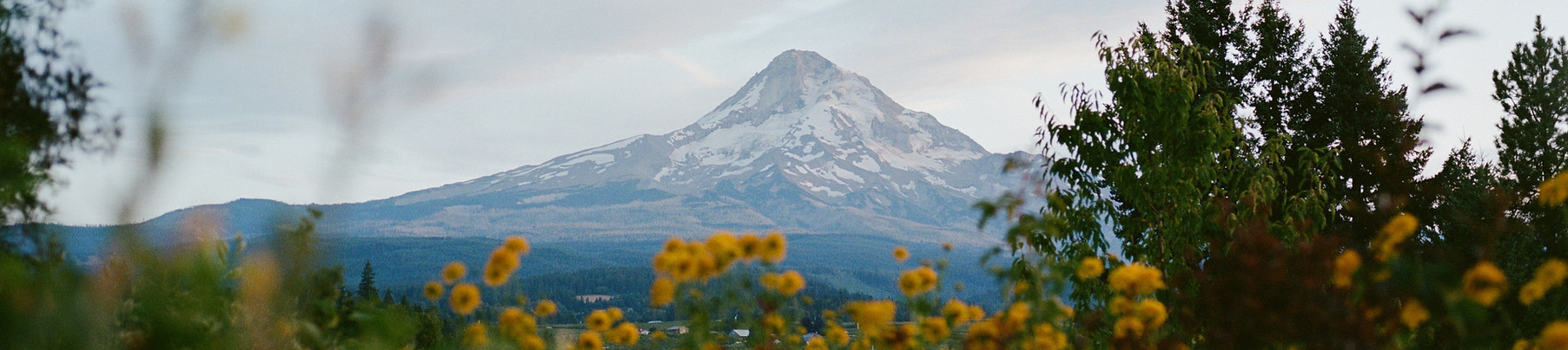 mt hood