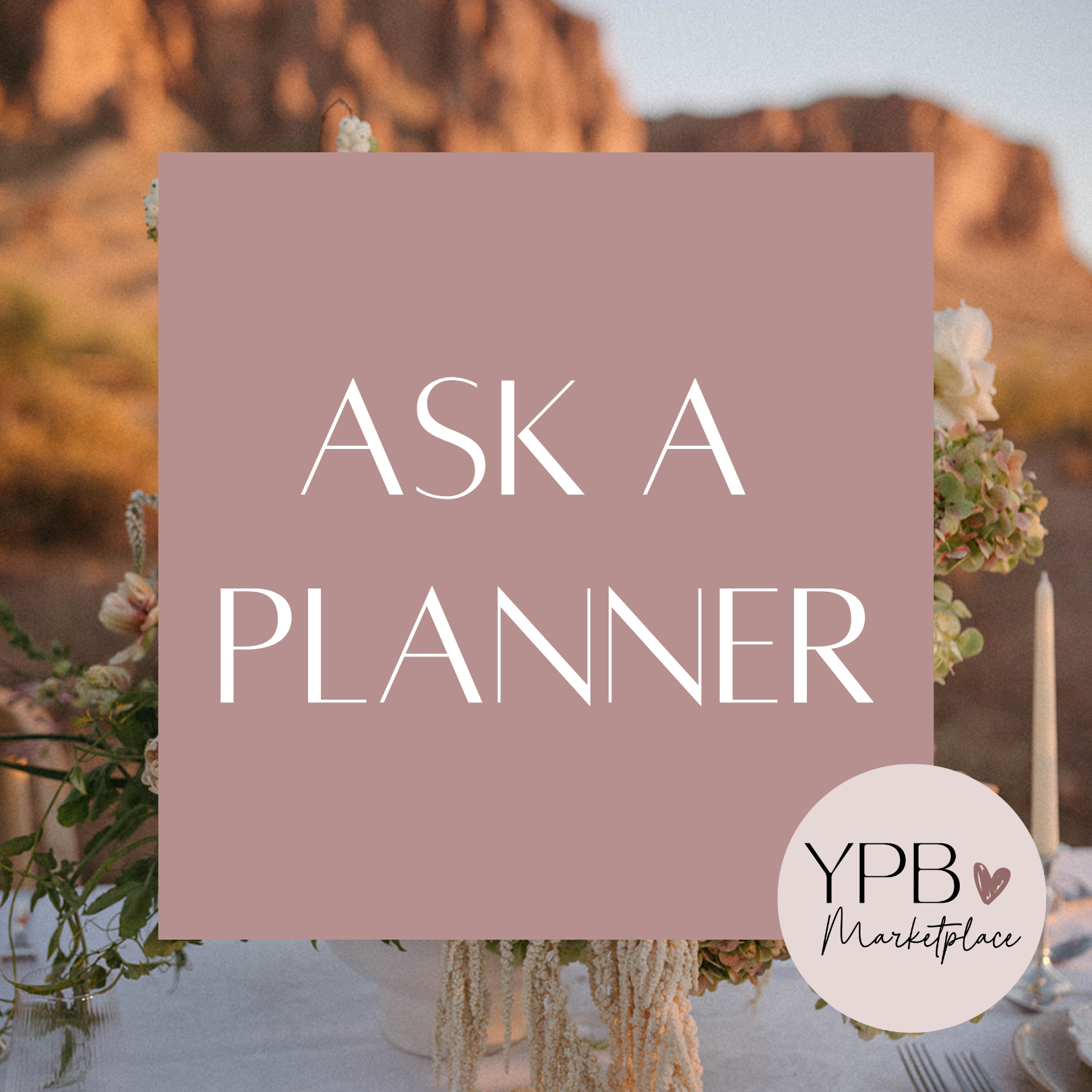 Ask A Planner: Professional Consultations