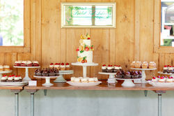 2019 Bryan + Amanda Wedding - 565.jpg