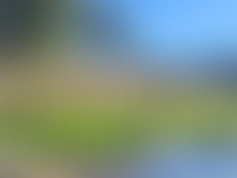 What Keeps Us Coe-ing