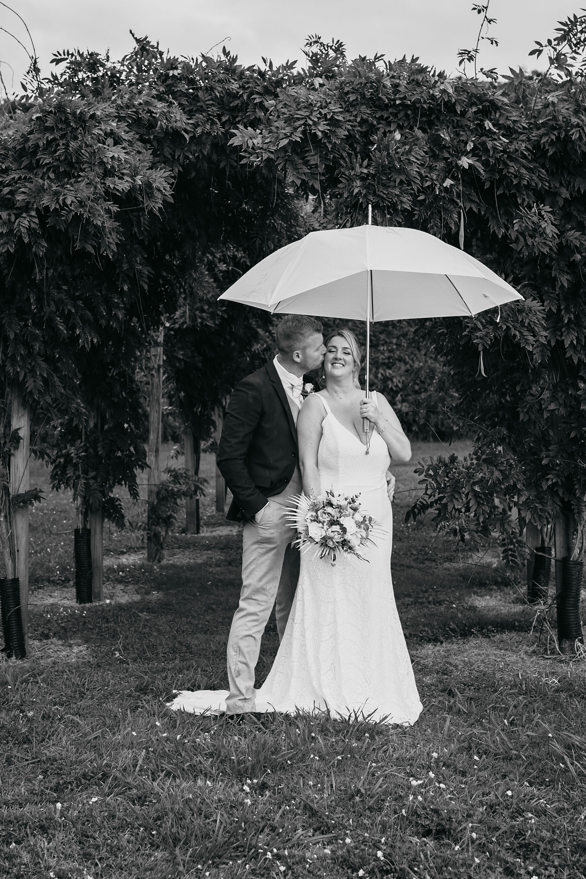 Markovina Vineyard Estate Wedding Photography