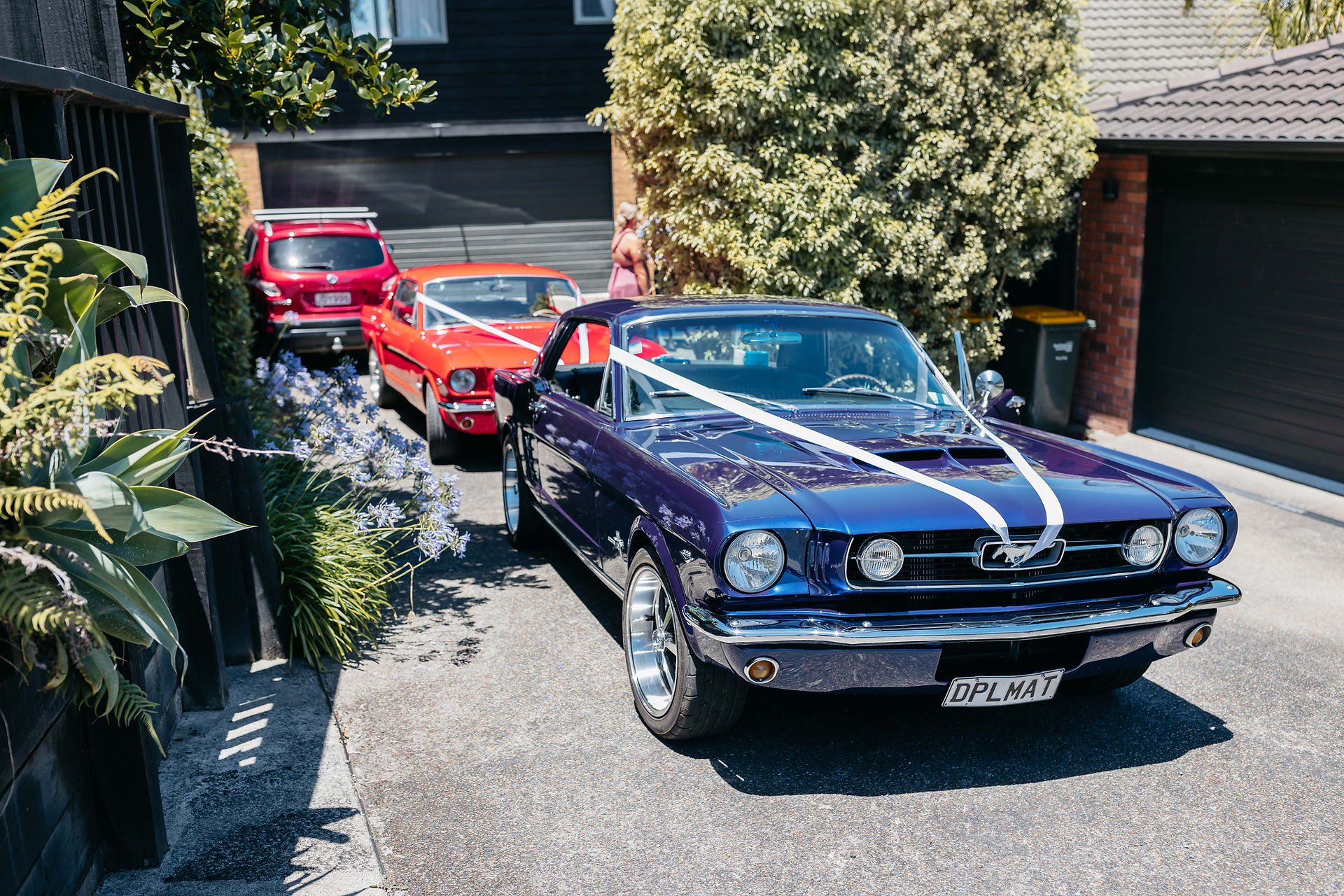 North Shore Wedding, Auckland