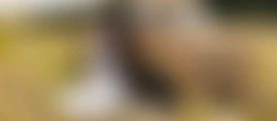 Zoe & Jack | Terrace Croft | Ashburton Wedding