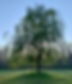 IMG_8967.JPEG