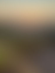 Bandeira laranja: funcionamento de quinta a domingo