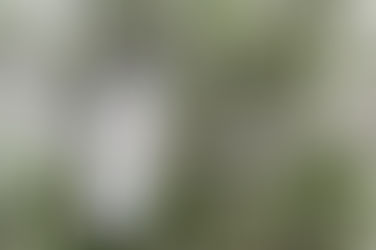 Azeite Terroir Serrano entre os 500 melhores do mundo