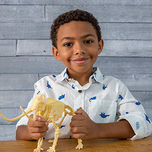 Thumbnail: Discovery Ice Age Dig Fossil Kit