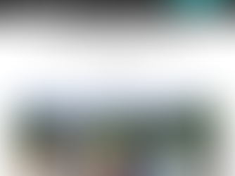 YCCBC Alumnus Shares Experience with Watershed Sentinel