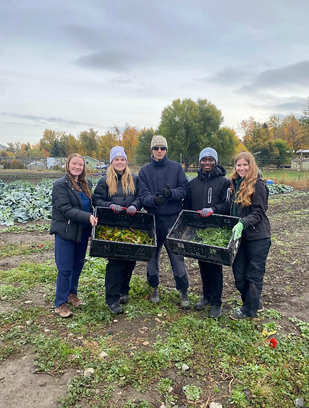 Screenshot 2025-11-03 at 3.19.20 PM.png