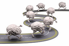 Brains walking on road copy.jpeg