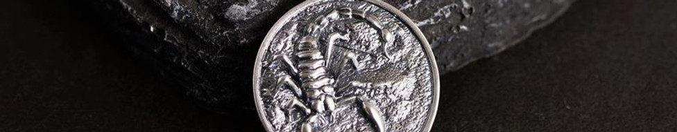Scorpion Medallion S925 Necklace_1.2.JPG