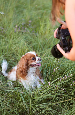 WhatsApp Image 2025-08-20 at 20.59.43 (1).jpeg