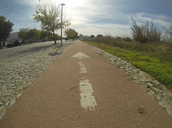 Ciclovia